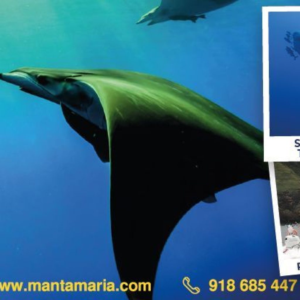 Mantamaria Dive Center Azores - Santa Maria